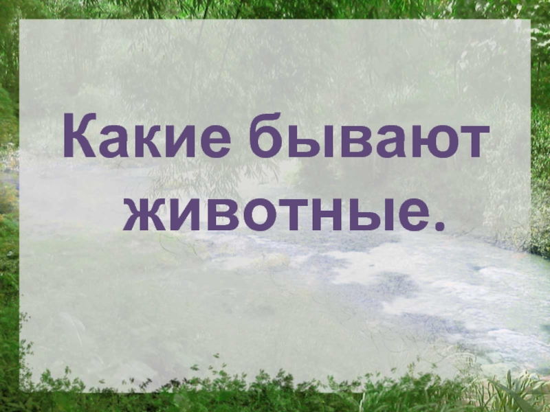 Какие бывают животные презентация 2 класс. Какие бывают животные 2 класс. Окружающий мир 2 класс тема какие бывают животные. Конспект урока какие бывают животные.