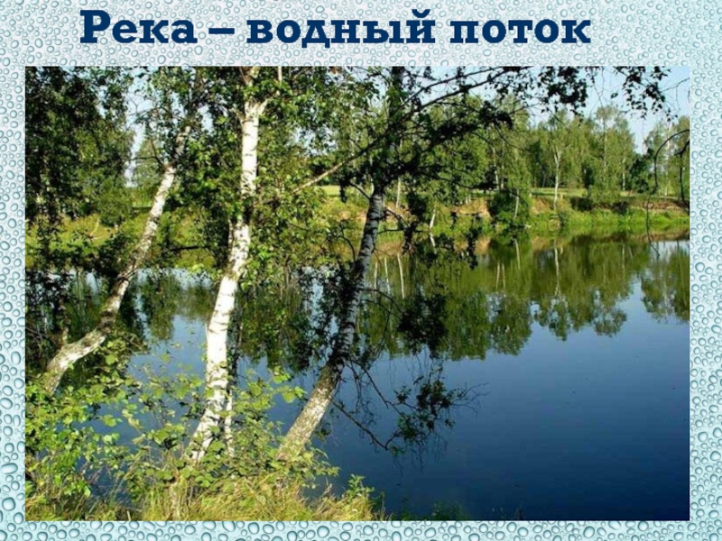 Родной река. Родной край Мордовия. Березы в Мордовии. Природа родного края Мордовия. Мордовия природы летом.