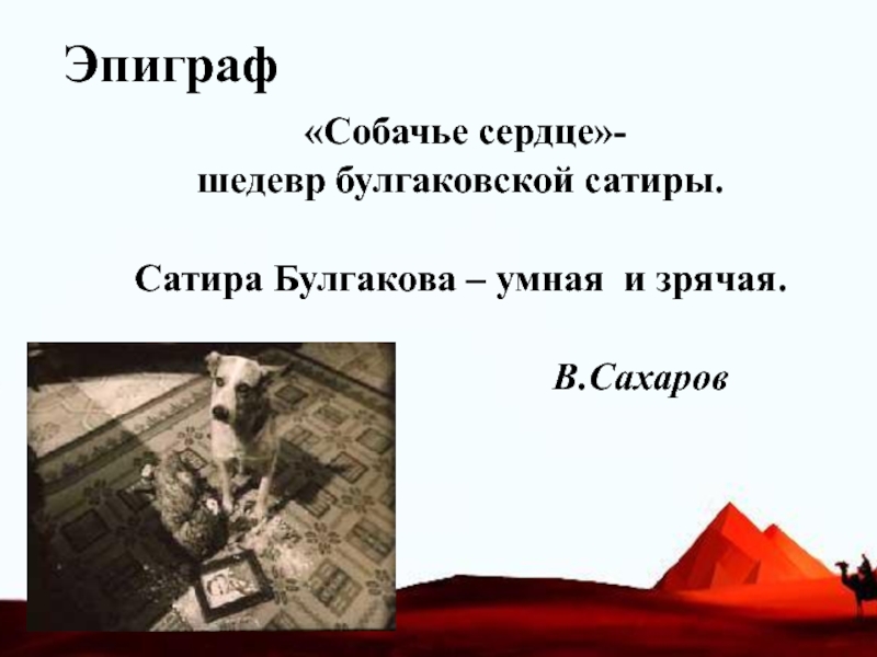 Презентация булгаков собачье сердце история создания и судьба повести 9 класс