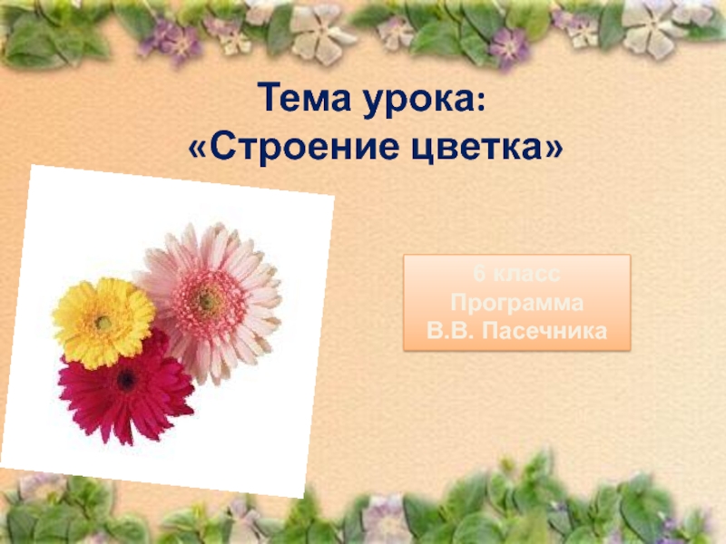 Тема урока:
Строение цветка
6 класс
Программа
В.В. Пасечника