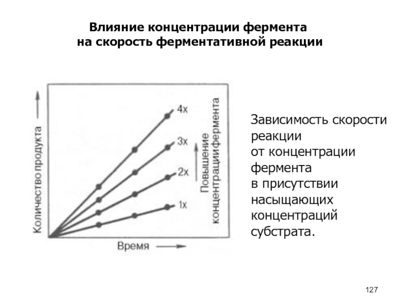 Влияние концентрации на скорость химической реакции