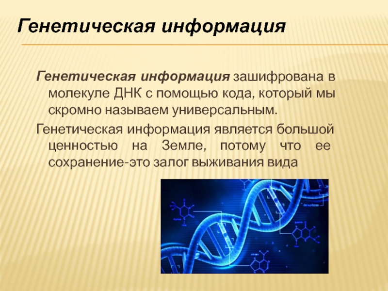 Наследственная информация представлена. Генетическая информация. Наследственная информация. Примеры наследственной информации. Генетическая информация зашифрована в ДНК В виде.