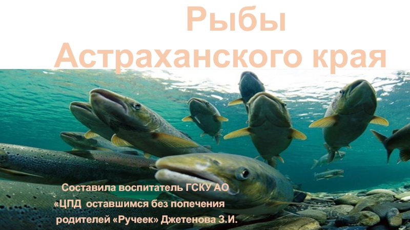 Рыбы Астраханского края