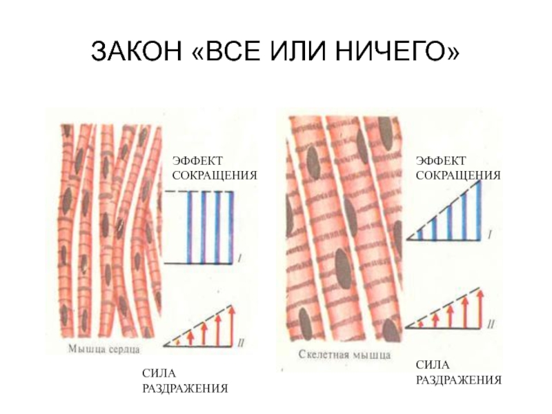 Все или ничего схема