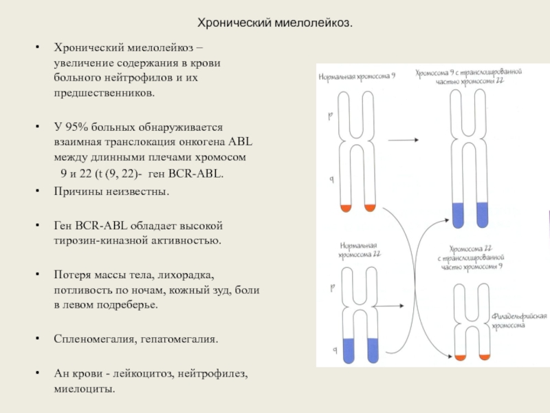 Лейкозы пропедевтика презентация