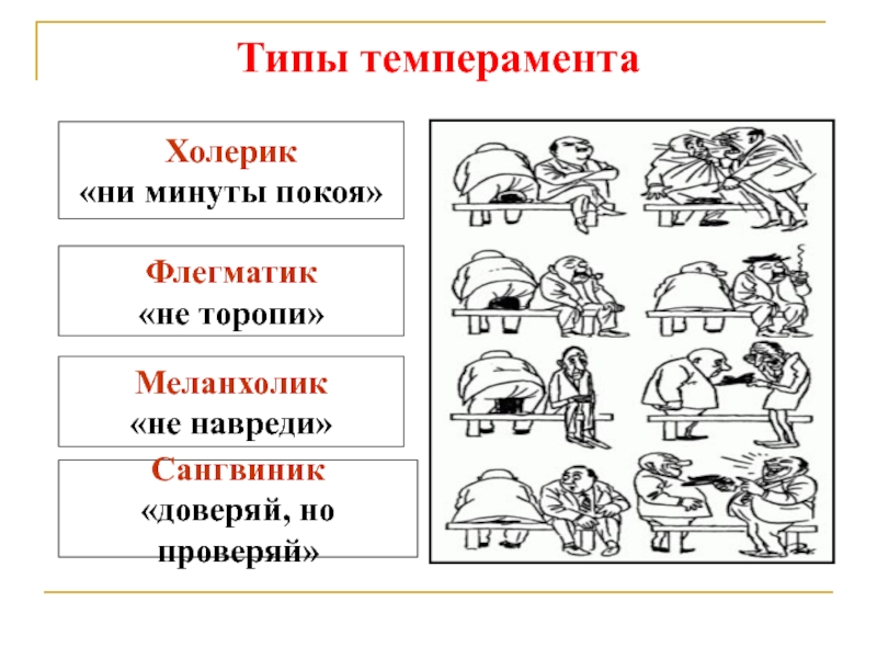 Типы темперамента холерик меланхолик. Холерик сангвиник флегматик меланхолик. Флегматик меланхолик сангвиник. Темперамент холерик сангвиник флегматик меланхолик. Холерик меланхолик.