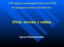 Отек легких у собак