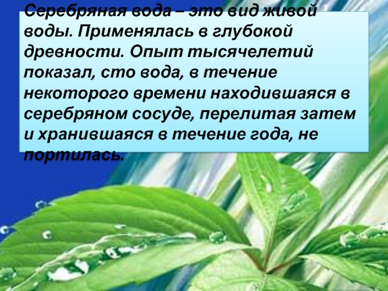 Влияние серебряной воды на растения проект 5 класс