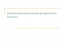 Организация исполнения федерального бюджета