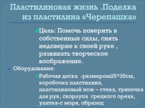 Пластилиновая жизнь. Поделка из пластилина Черепашка 2 класс