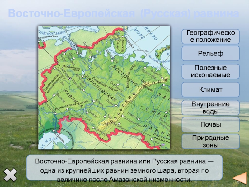 Положение в природных зонах восточно европейской