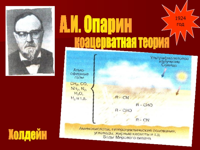 Опарин происхождение жизни 1924. Опарин теория. Опарин Холдейн фото. Опарин и Холдейн теория.