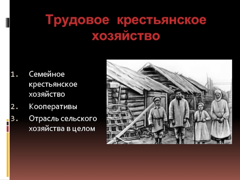 Объединение крестьянского хозяйства. Организация крестьянского хозяйства. Теория крестьянского хозяйства. Организационный план крестьянского хозяйства. Теория трудового крестьянского хозяйства.