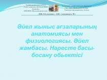 Әйел жыныс ағзаларының анатомиясы мен физиологиясы. Әйел жамбасы. Нәресте