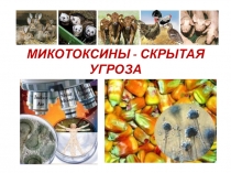 МИКОТОКСИНЫ - СКРЫТАЯ УГРОЗА