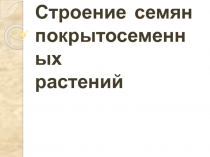 Строение семян покрытосеменных растений 6 класс