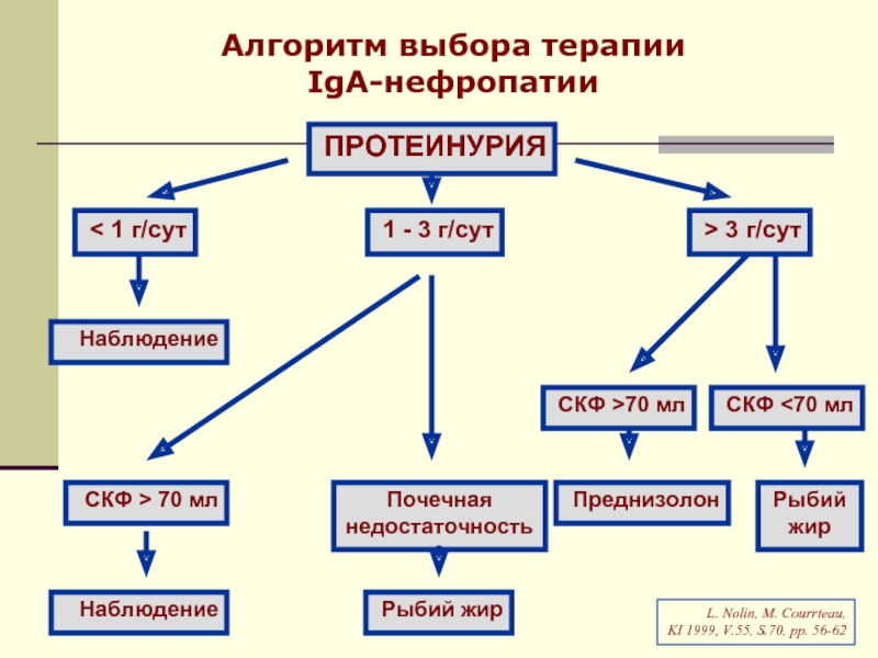 Лечение выбора. Iga нефропатия патогенез. Классификация протеинурий схема. Алгоритм протеинурии. Классификация протеинурии по происхождению схема.