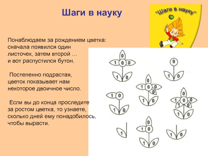 Текст появляется постепенно. Понаблюдаем за рождением цветка сначала появился. Постепенное рождения растения. У каких растений появляются сначала листья а затем цветочки.