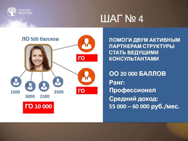 Маркетинг план компании сибирское здоровье