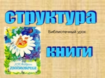 Структура книги