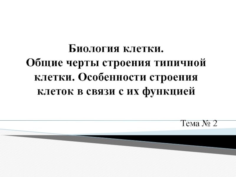 Презентация Биология клетки. Общие черты строения типичной клетки