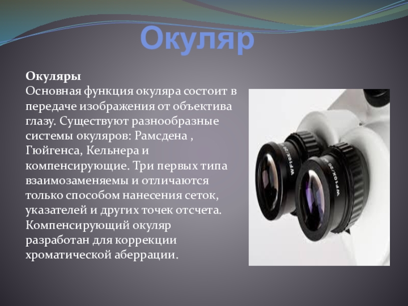 Рисунок был выполнен при работе с микроскопом на котором указано увеличение окуляра 20 объектива 40