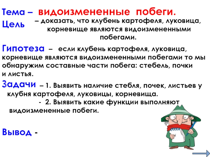 Доказать что это побег. Доказать что клубень видоизмененный побег. Вывод клубень это видоизмененный побег. Доказать что корневище клубень и луковица видоизмененные побеги. Докажите что клубень картофеля видоизмененный побег.