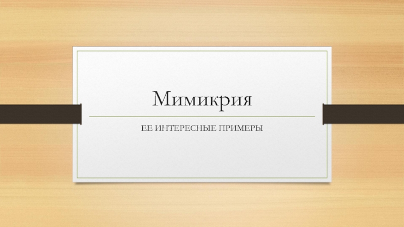 Презентация Мимикрия