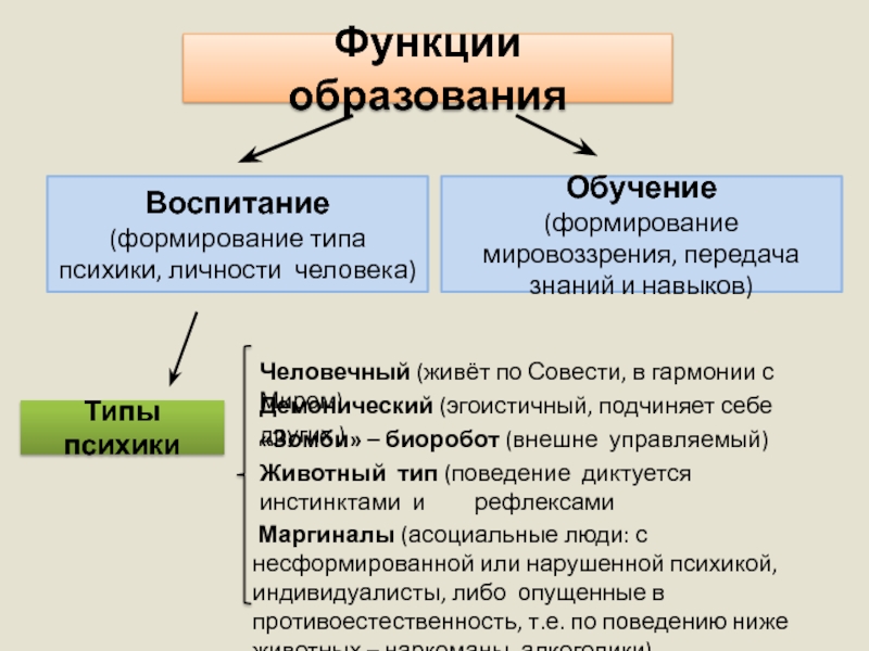 Функции обучения функция формирования мировоззрения. Типы психики. Передача мировоззрения.