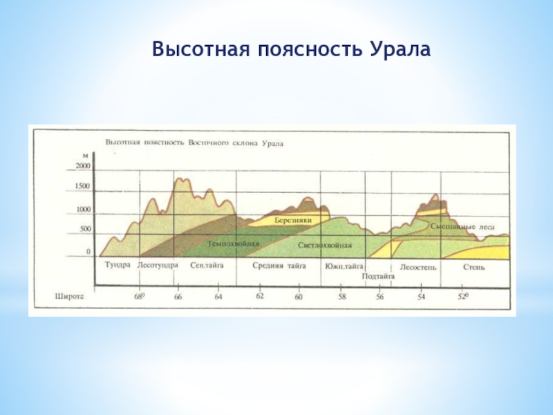 Схема уральских гор высотная поясность