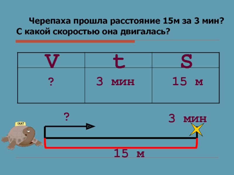 Расстояние 15 км. Сколько черепаха проходит за секунду.