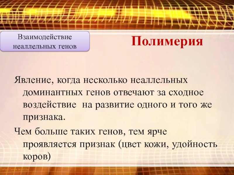 Что такое ген. Неаллельные гены могут отвечать за один и тот же признак. Когда говорят феномен, а когда феномен. Что такое ген рослости. Ген отвечающий за любовь.