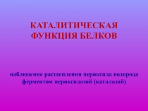 Каталитическая функция белков