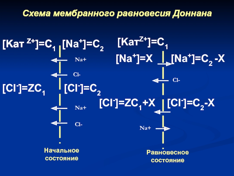 Изопрен+ cl2 +40. Циклобутан+ cl2. Пропен+ cl2 на свету. Ячейки Доннана.