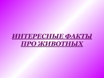 Интересные факты про животных