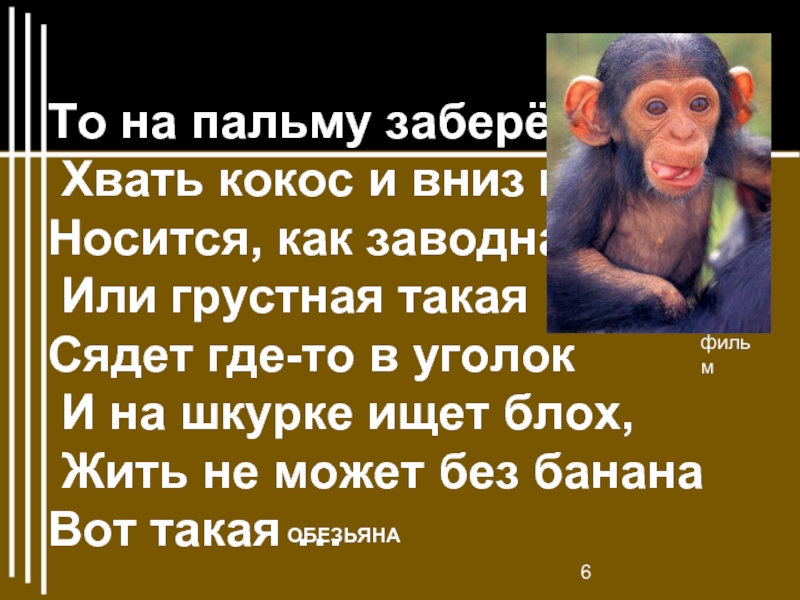 Житков про обезьянку какая обезьянка