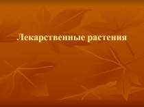 Лекарственные растения для урока Технология (девочки)