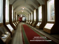 Генетика 9