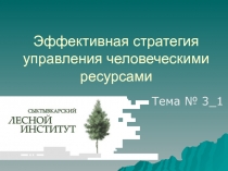 Эффективная стратегия управления человеческими ресурсами