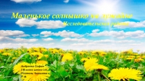 Маленькое солнышко на лужайке
Исследовательская работа
Андреева София
2 Б класс