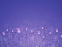NightFlowers 