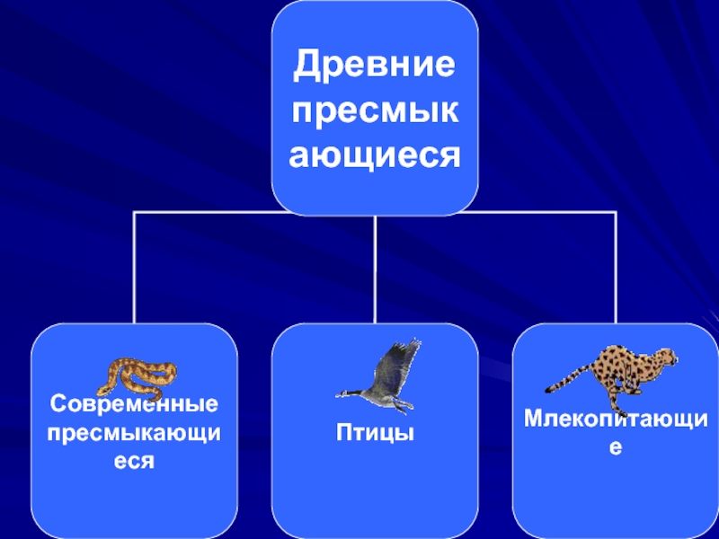 Разнообразие древних пресмыкающихся. Охрана пресмыкающихся. Роль пресмыкающихся в природе и жизни человека. Проект древние пресмыкающиеся.