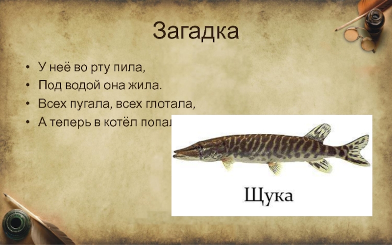 Загадка пила. У нее во рту пила под водой она жила. У неё во рту пила под водой она жила отгадка.