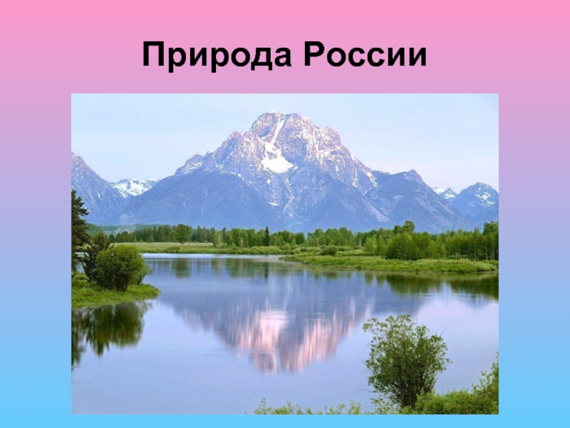 Природа России