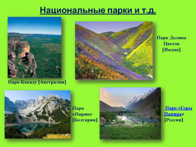 Заповедники и национальные парки россии 4 класс проект по окружающему проект