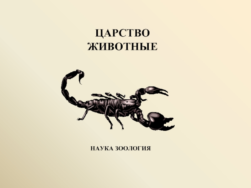 Зоология любви. Царство животных науки. Зоология 6-7 класс. Корчагина Зоология. Оформление реферата по зоологии.