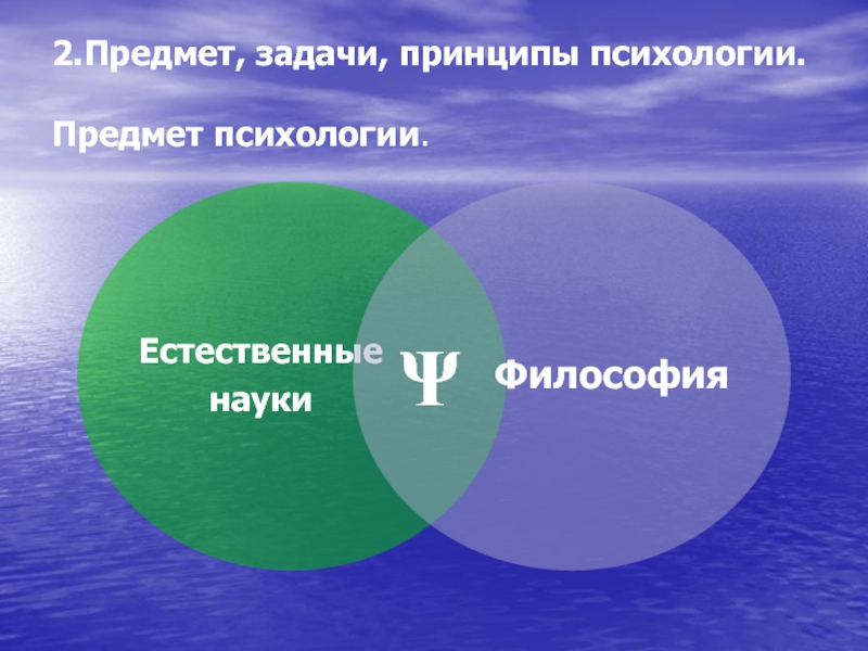 Предмет задачи и принципы психологии. Предмет и задачи экспериментальной психологии. Экспериментальная психология: предмет, цели. Предмет и объект психологии управленческой деятельности.