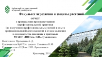 ОТЧЕТ
о прохождении производственной (профессиональной) практики
(по получению