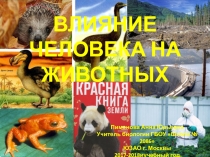 ВЛИЯНИЕ ЧЕЛОВЕКА НА ЖИВОТНЫХ
Пименова Анна Юрьевна
Учитель биологии ГБОУ Школа