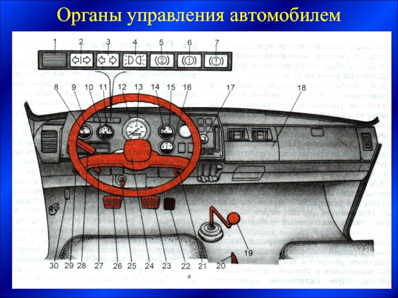 Органа машина. Органы управления транспортным средством. Органы управления машины. Органы управления легкового автомобиля. Основные органы управления автомобилем.